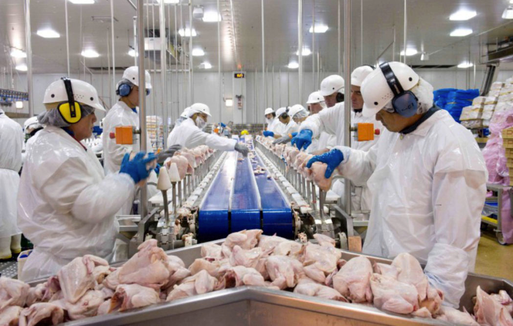 Frozen Seafood wholesale export from Brazil