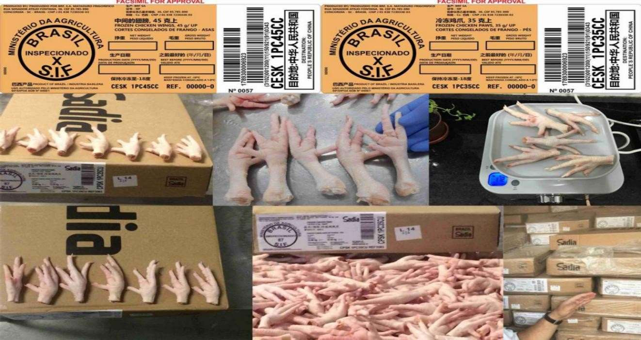 Frozen Chicken wholesale export from Brazil