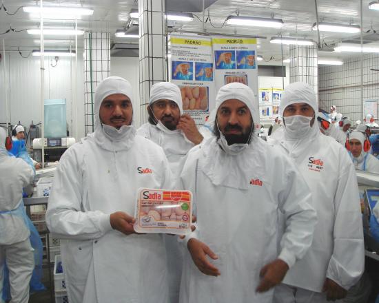 Frozen Beef wholesale export from Brazil