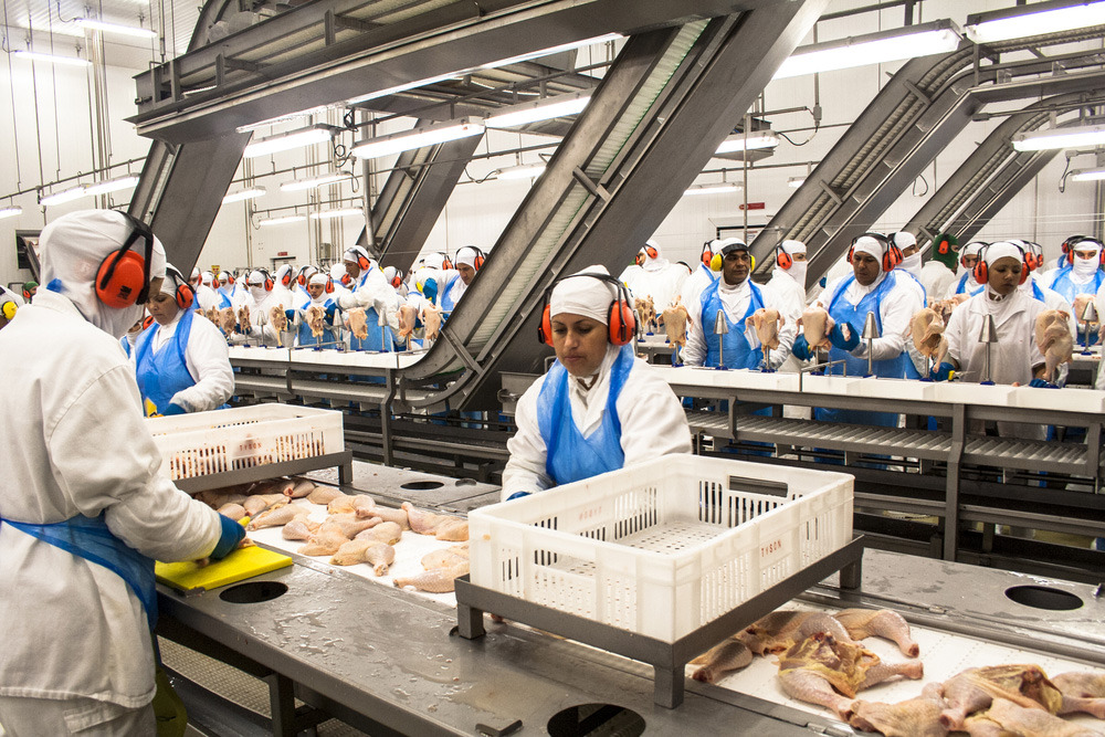 Brazilian cold-chain warehouse for frozen meat exports