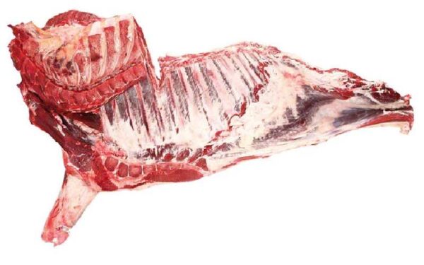 FrozenBeefForequarter