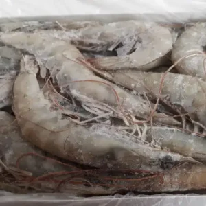 Frozen-Shrimps