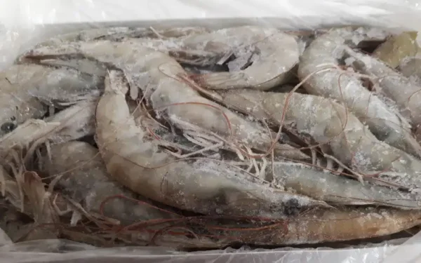 Frozen-Shrimps