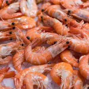 Frozen-Prawns