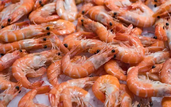 Frozen-Prawns