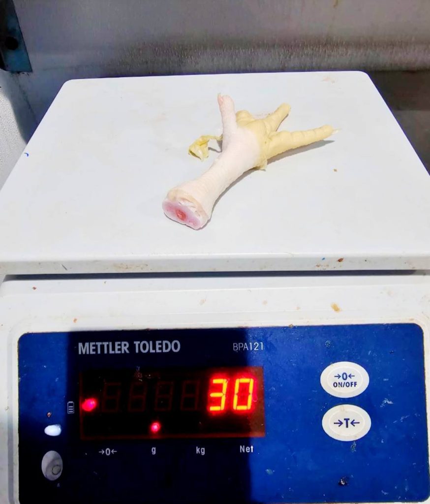 brazil chicken exporters