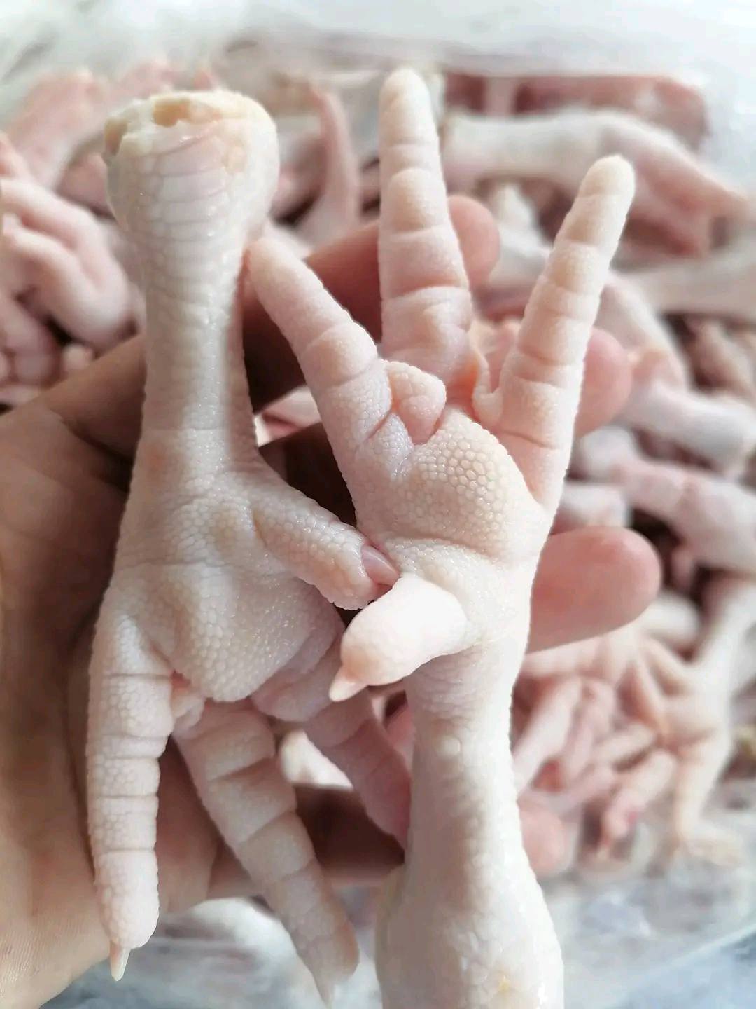 经SIF认证的巴西清真冷冻鸡肉供应商，可批量采购