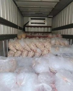 HALAL FROZEN CHICKEN